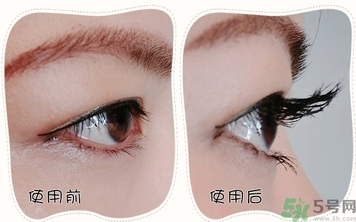 ��ë�������ô��?��ë�������ô�������?